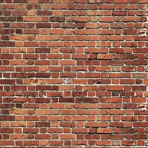 AIIKES 10x10FT Red Brick Wall Photography Backdrop Thin Vinyl Photo Backdrops by AIIKESbackdrop