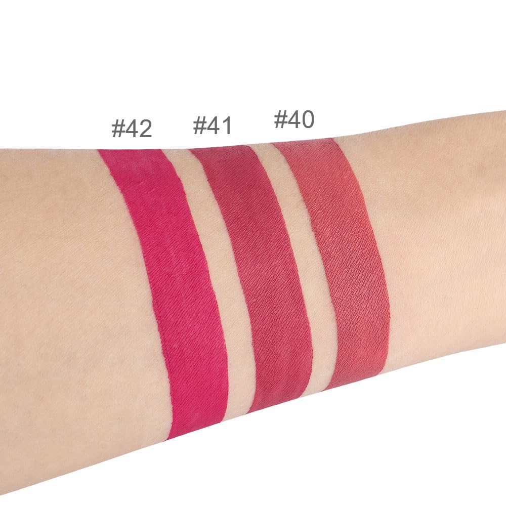 evpct 3Pcs Mauve red Berry pink Rose red Matte Liquid Lipstick Sets for Women 24-hour Matte+Lipstick Lipstick Lip Stain Gloss Long Lasting 24 Smudge Waterproof
