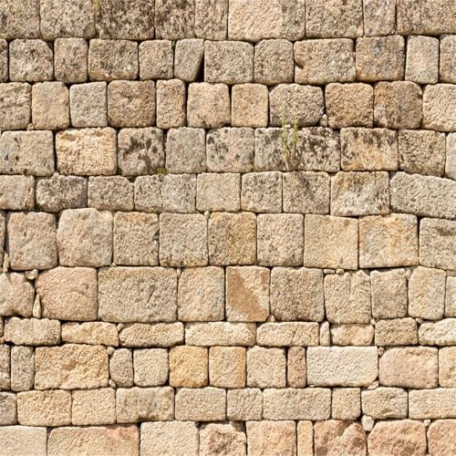 BELECO 10x10ft Fabric Vintage Brick Stone Wall Backdrop by BELECO