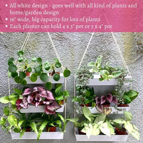 LaLaGreen Boho Wall Planter White Succulent Herb Garden - Image 5