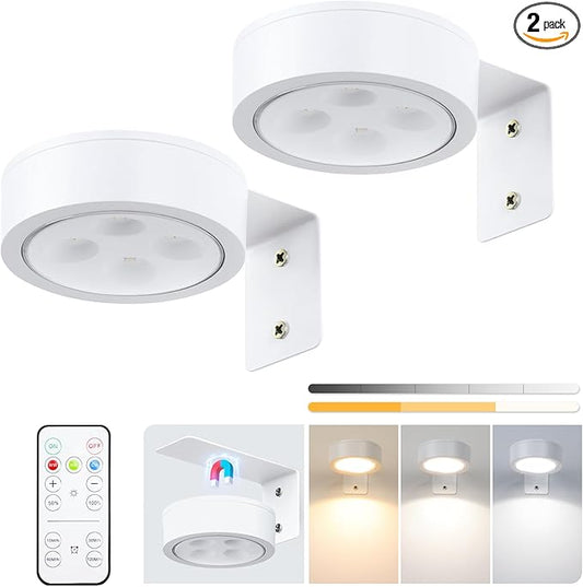 2-Pack Picture Light Battery Operated, LED Painting Lights by KELUOLY