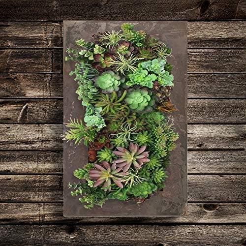 Modern Home Living Wall Galvanized Steel/Zinc Succulent Planter, Wall Mounted - Image 3