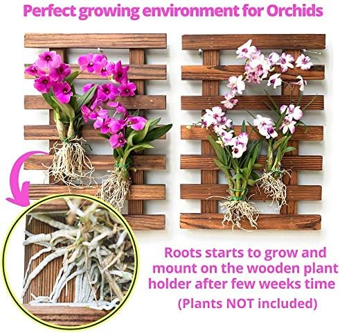 ShopLaLa Wall Planters Wooden Hanging Planter - Image 5