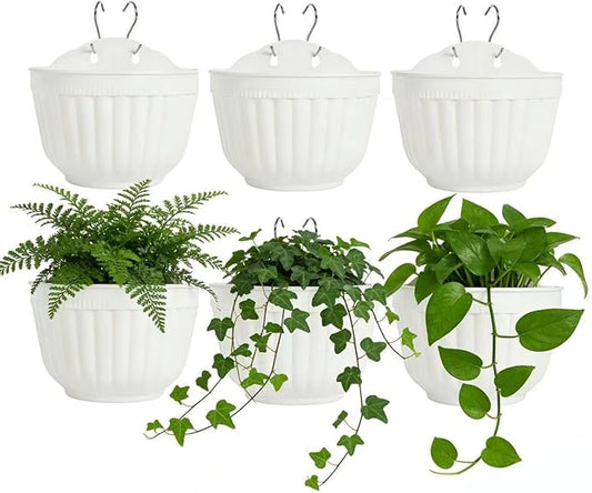 6 Pcs Plastic Large Wall Plant Pots Vertical Garden Living Wall Mounted Window by OrimercGarden