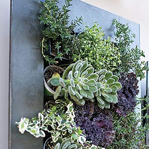 Modern Home Living Wall Galvanized Steel/Zinc Succulent Planter, Wall Mounted - Image 7