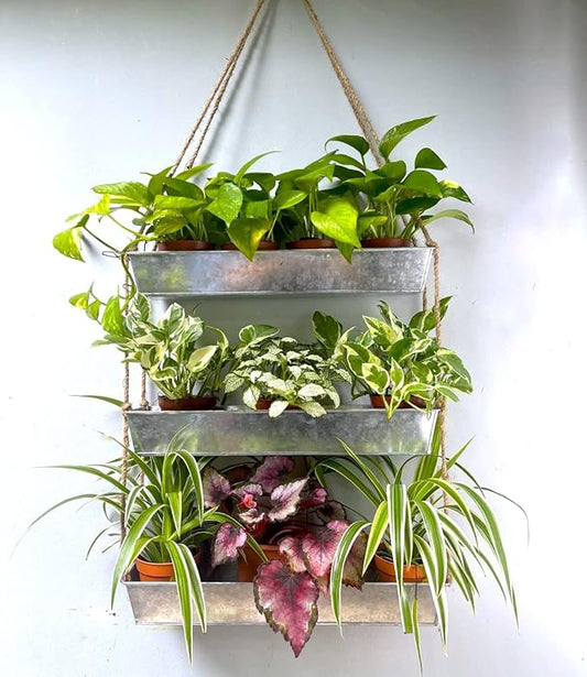 LaLaGreen Wall Hanging Planter by L%C3%A1L%C3%A1Green
