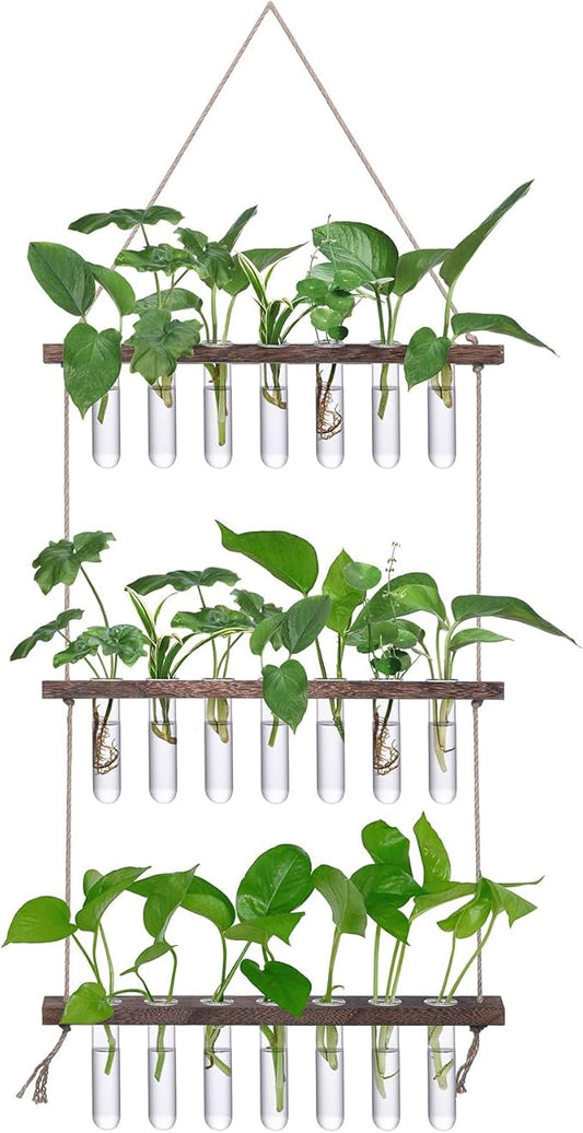 XXXFLOWER Wall Hanging Propagation Station by XXXFLOWER