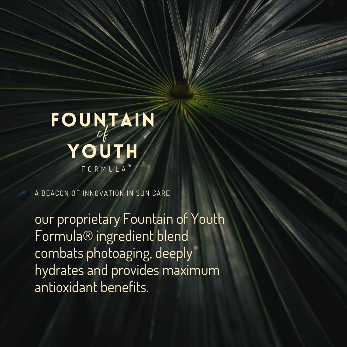 Natural Mineral Sun Screen SPF 30 for Face & Body – Lightweight, Hydrating & Moisturizing Sunscreen – Daily Sunscreen Moisturizer, No White Cast Zinc Oxide, Reef-Safe Korean Skin Care