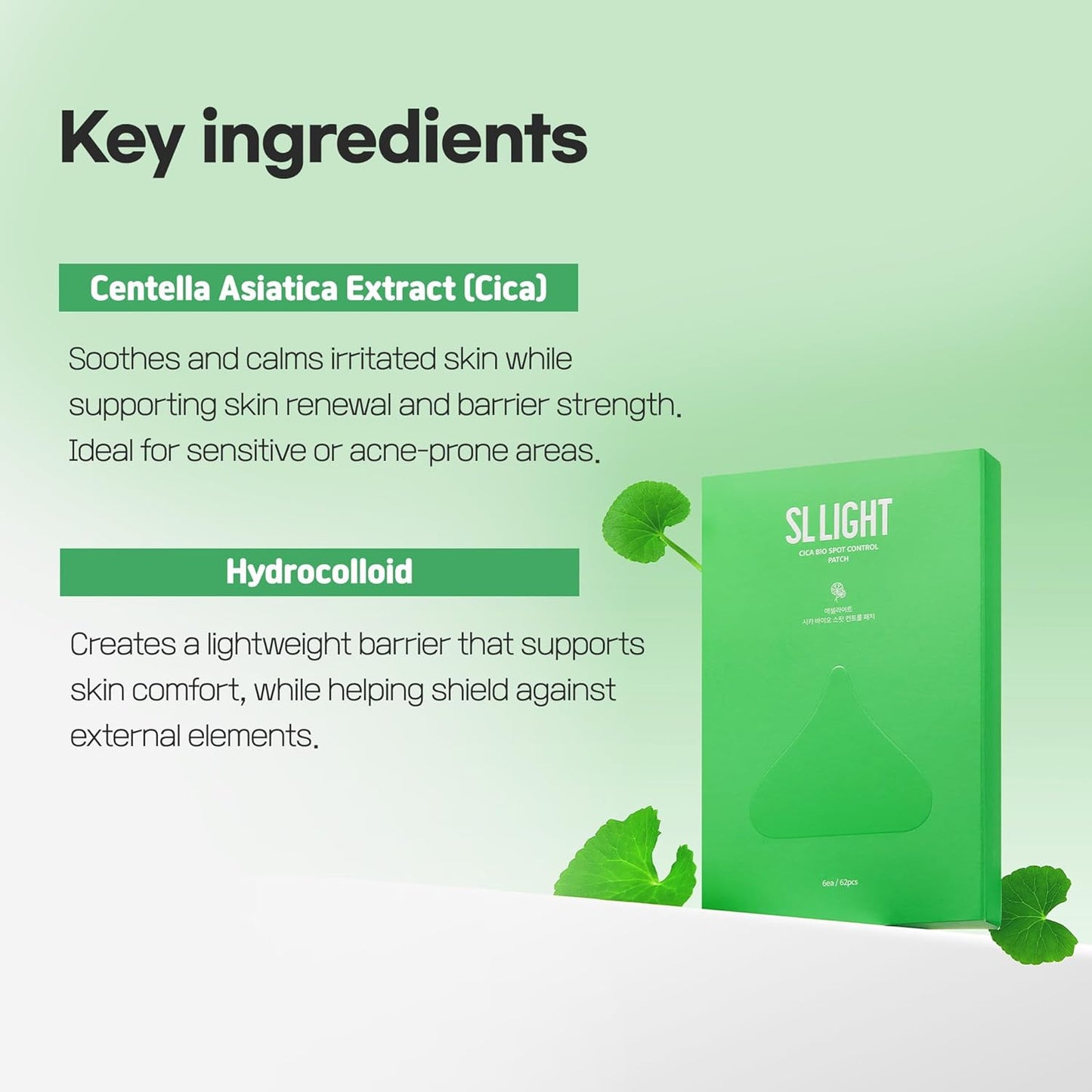 Cica Bio Spot Control Patch (1 Box, 62pcs) | Soothing Acne Patch for Redness & Blemishes | With Cica, Niacinamide & Tea Tree | Gentle for Sensitive Skin | Korean Skincare