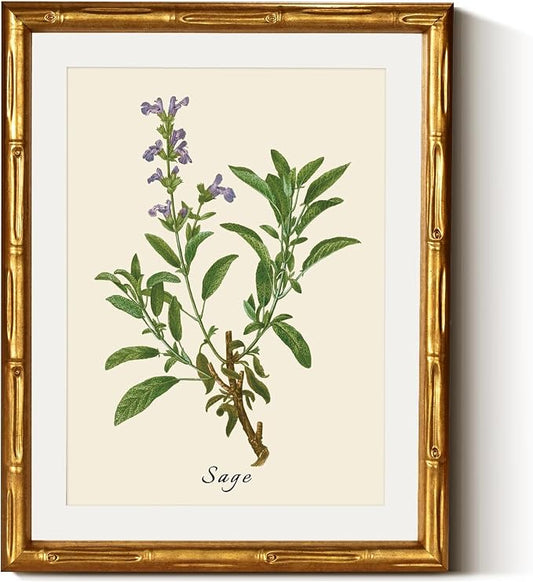 InSimSea Gold Bamboo Framed Canvas Wall Art, Vintage Watercolor Sage Herbs by InSimSeaArt