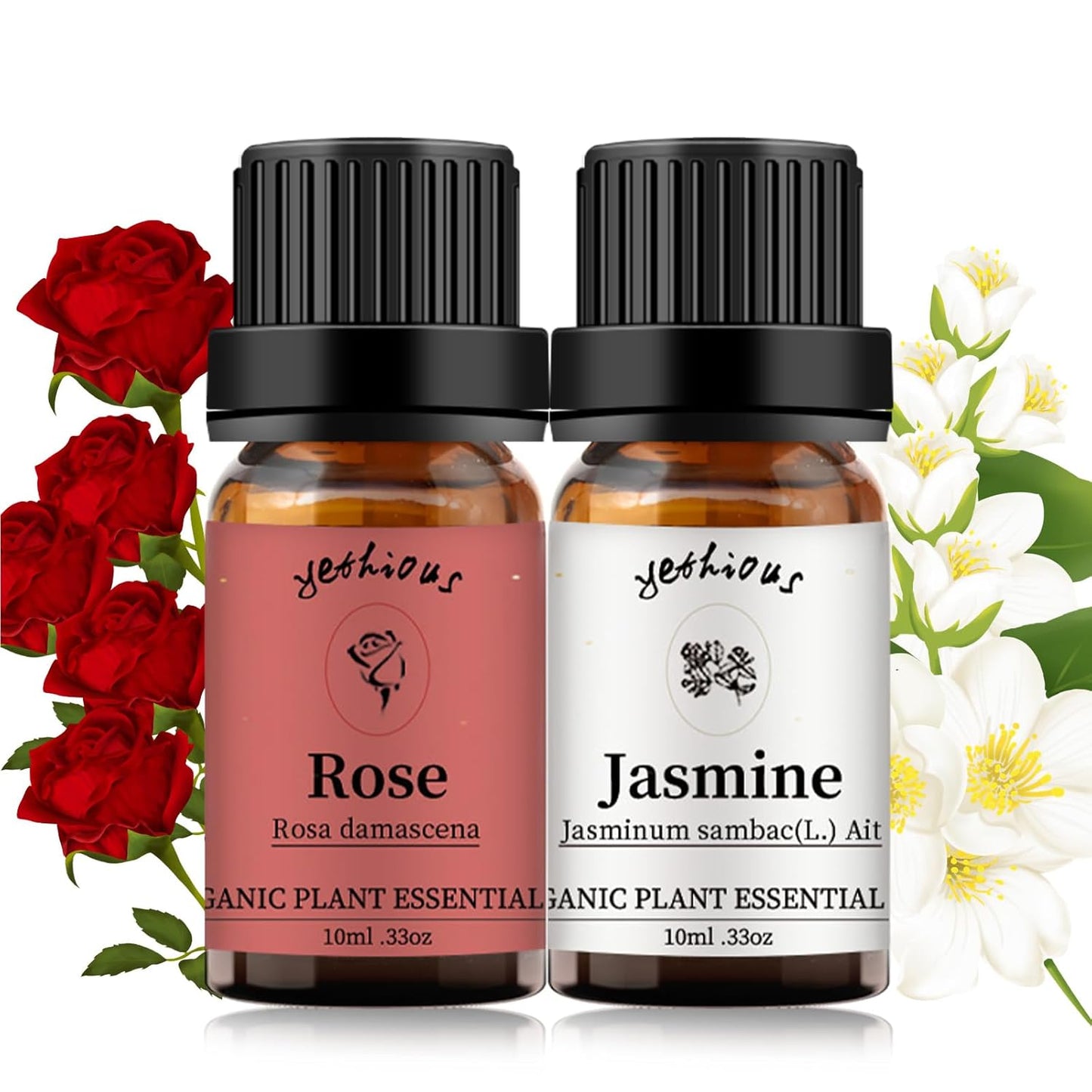 yethious Rose Essential Oil Jasmine Essential Oil for Diffuser, Hair, Skin, Body, Face, Perfume, Soap, Candle Making Rose Fragrance Oil Set Jasmine Oil Organic 2 X 10ML
