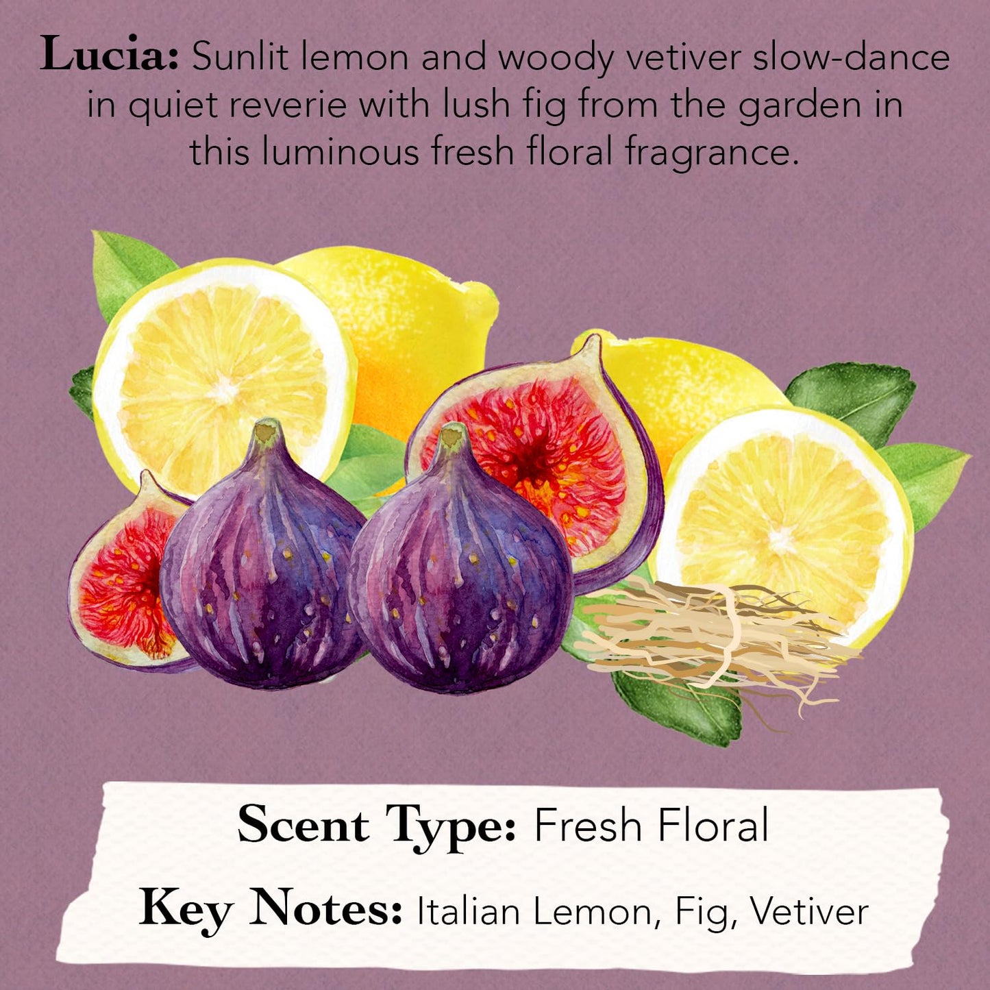 Tocca Mini Perfume Set of 3 ($45 Value) - 5ml (0.16 Fl Oz) Each, Spring Garden Collection - Includes Florence, Lucia & Stella, Eau de Parfum Dabbers Fragrance Gift Set for Women