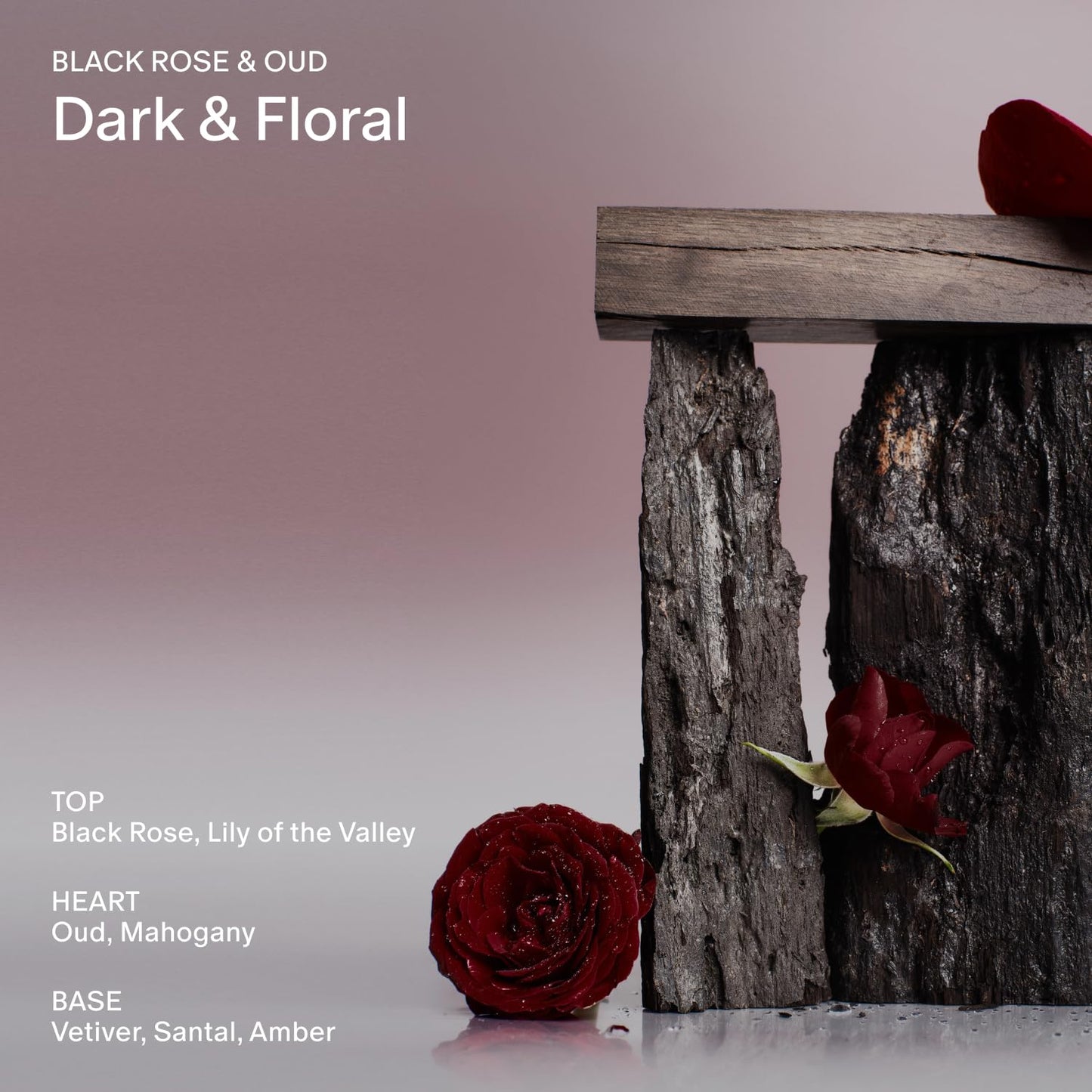 Salt & Stone Body Wash with Antioxidants for Deep Moisture | For Women & Men, Sulfate, Paraben, & Dye Free, Leaving Skin Soft and Hydrated | Black Rose & Oud 32 fl oz