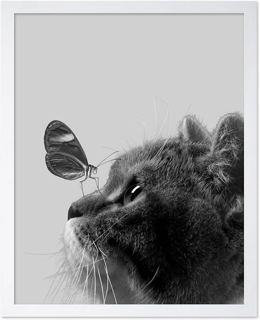 Poster Master Butterfly on Cat Print by PosterMaster