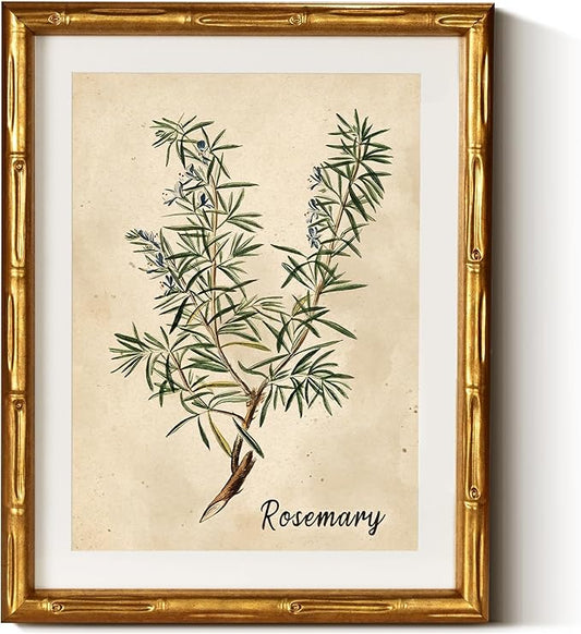 InSimSea Gold Bamboo Framed Canvas Wall Art, Retro Herbs Rosemary Botanical by InSimSeaArt