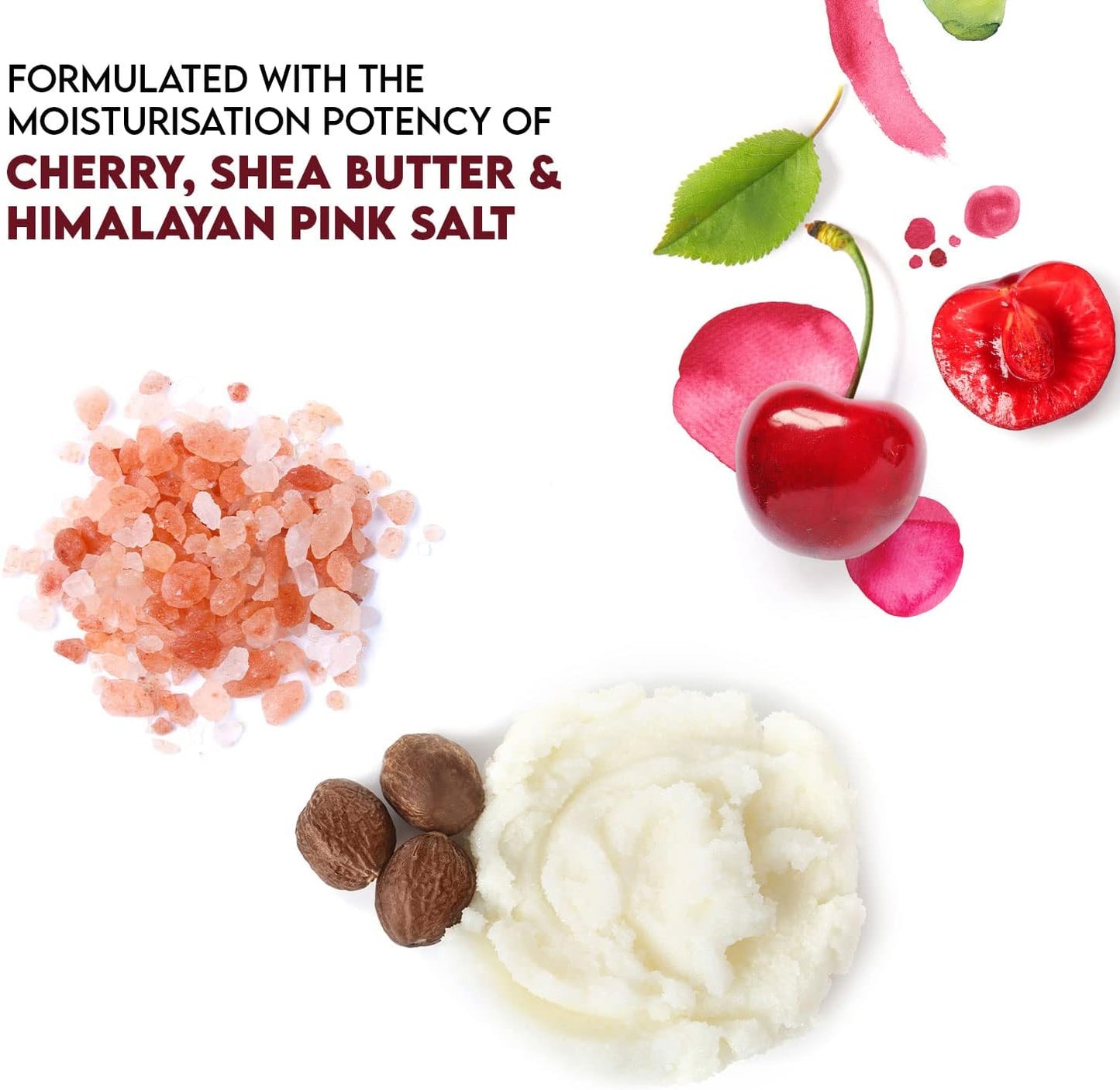 Salt Range Lip Balm with Cherry & Shea Butter – Hydrating and Soothing Lip Moisturizer for Deep Nourishment, Organic Chapstick, 12-Count Pack (24 Pieces) for Soft Lips