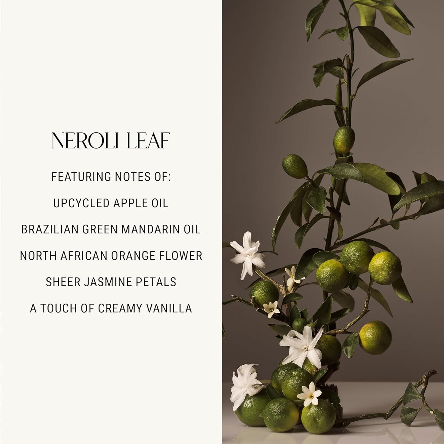 Homecourt Hand Cream, Non-Greasy Moisturizer for Hydrated, Nourished & Soft Hands, Dermatologist Tested, Clean Formula, Neroli Leaf, 12 fl oz