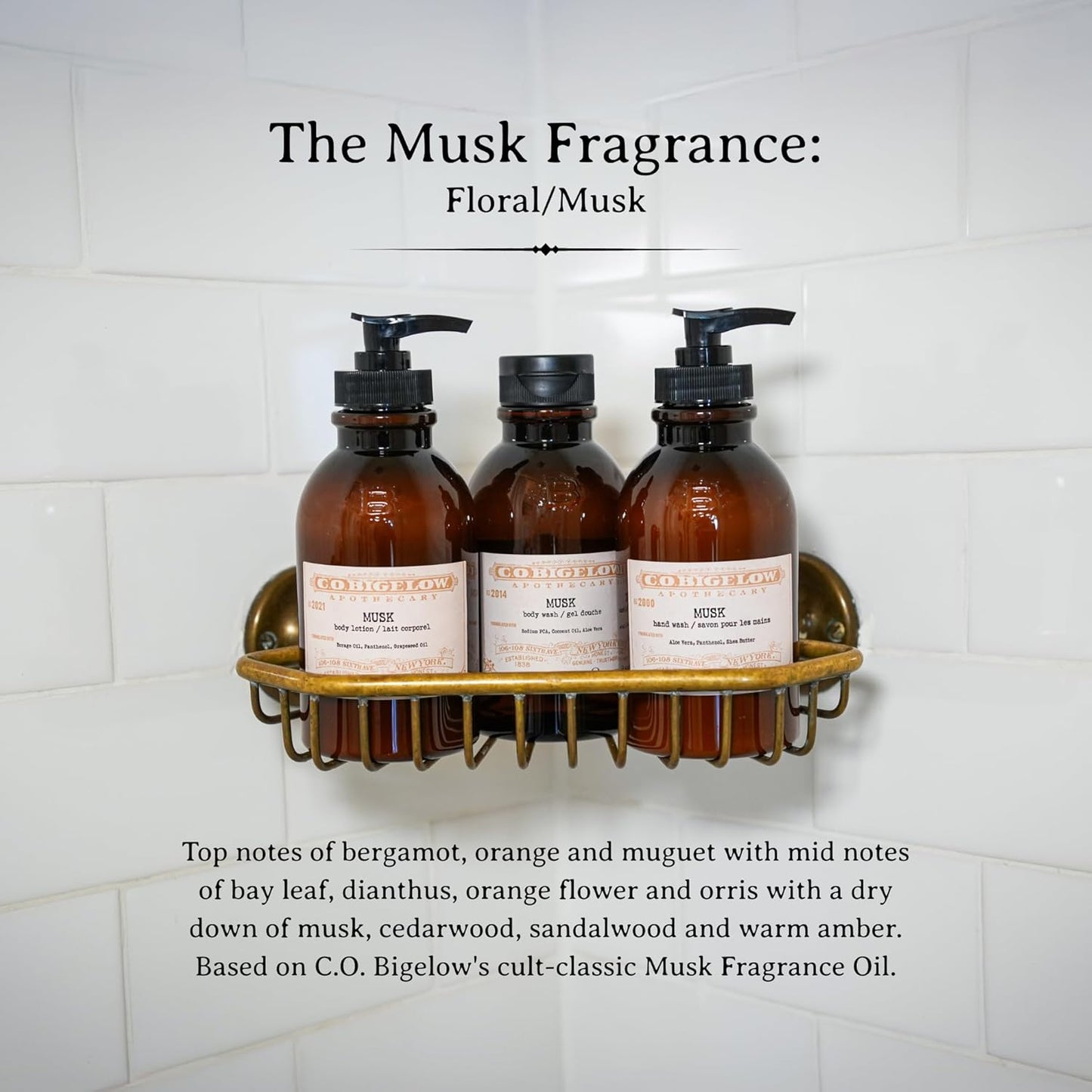 C.O. Bigelow Musk Body Lotion, Iconic Collection Moisturizing Body Lotion with Shea Butter, Borage Oil & Grapeseed Oil, 10.5 Fl Oz