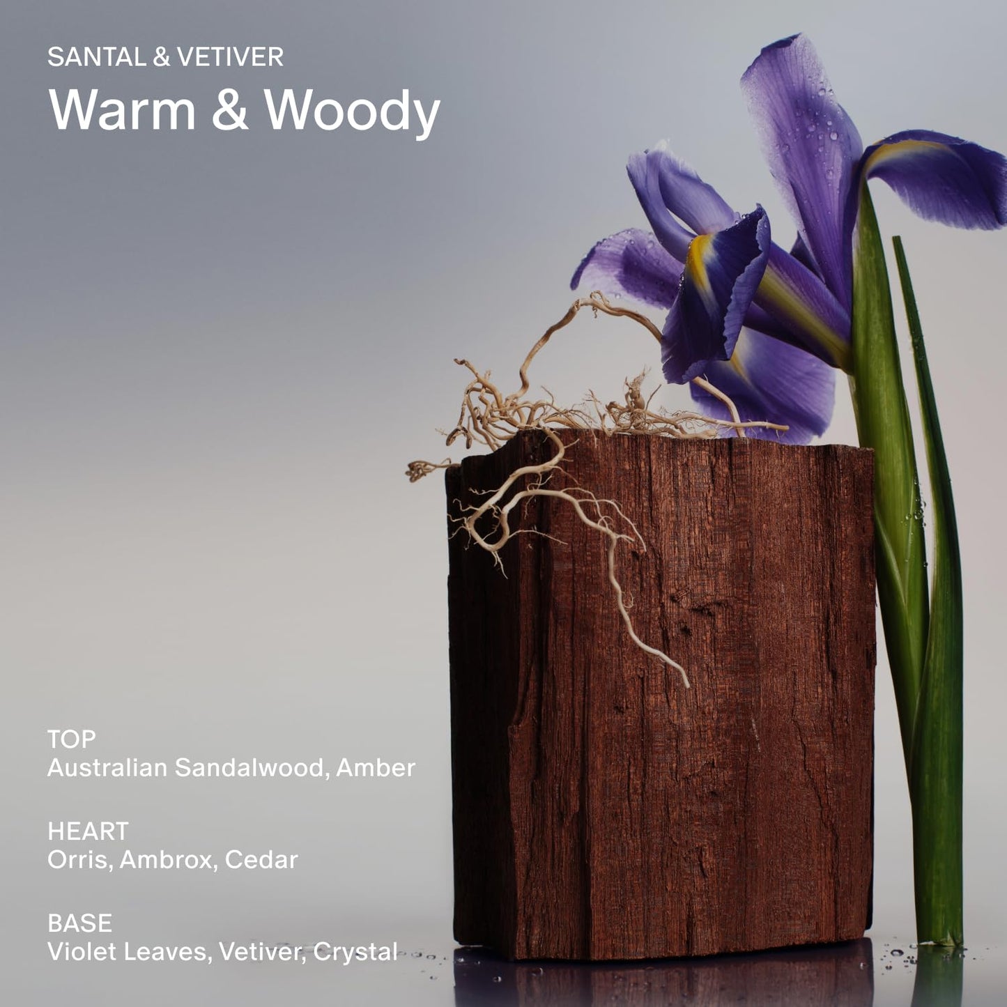 Salt & Stone Hand Cream for Women & Men | Santal & Vetiver | Hydrates, Nourishes & Softens Skin | Restores Dry Cracked Hands | Fast-Absorbing | Cruelty-Free & Vegan (2 fl oz)