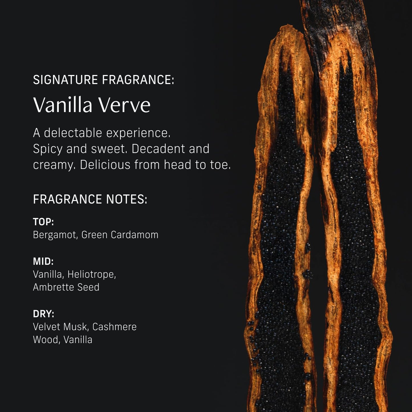 Perfume Oil Roll-On. Travel-Friendly Vanilla Verve Fragrance with Vanilla, Bergamot, and Amber Notes. Long-Lasting Essential Oil Parfum for Women and Men. 0.5 Fl Oz Scented Rollerball Bottle