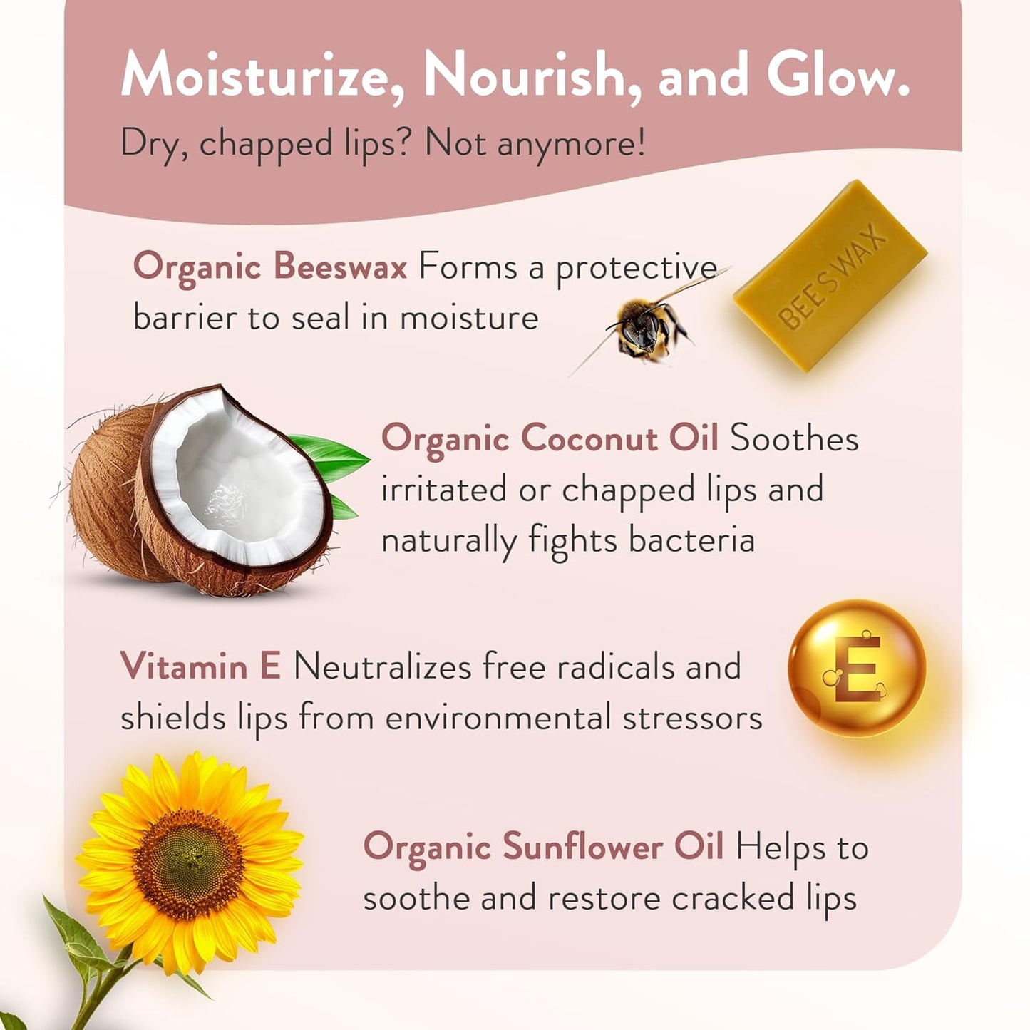 Moroccan Magic Organic Lavender Vanilla Lip Balm 3 Pack | Ultra-Hydrating Argan & Essential Oil Lip Moisturizer + Vitamin E | Natural Chapstick for Dry Lips | Smooth, Non-Toxic | Organic Lip Balm