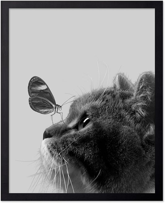 Poster Master Butterfly on Cat Print by PosterMaster