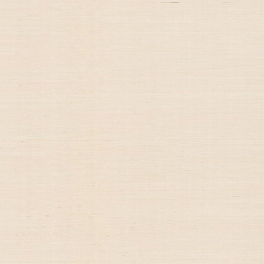 York Wallcoverings Natural Sisal Plaster Peel and Stick Grasscloth Wallpaper by YorkWallcoverings