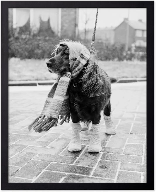 Poster Master Dog Dressed for Winter Print by PosterMaster