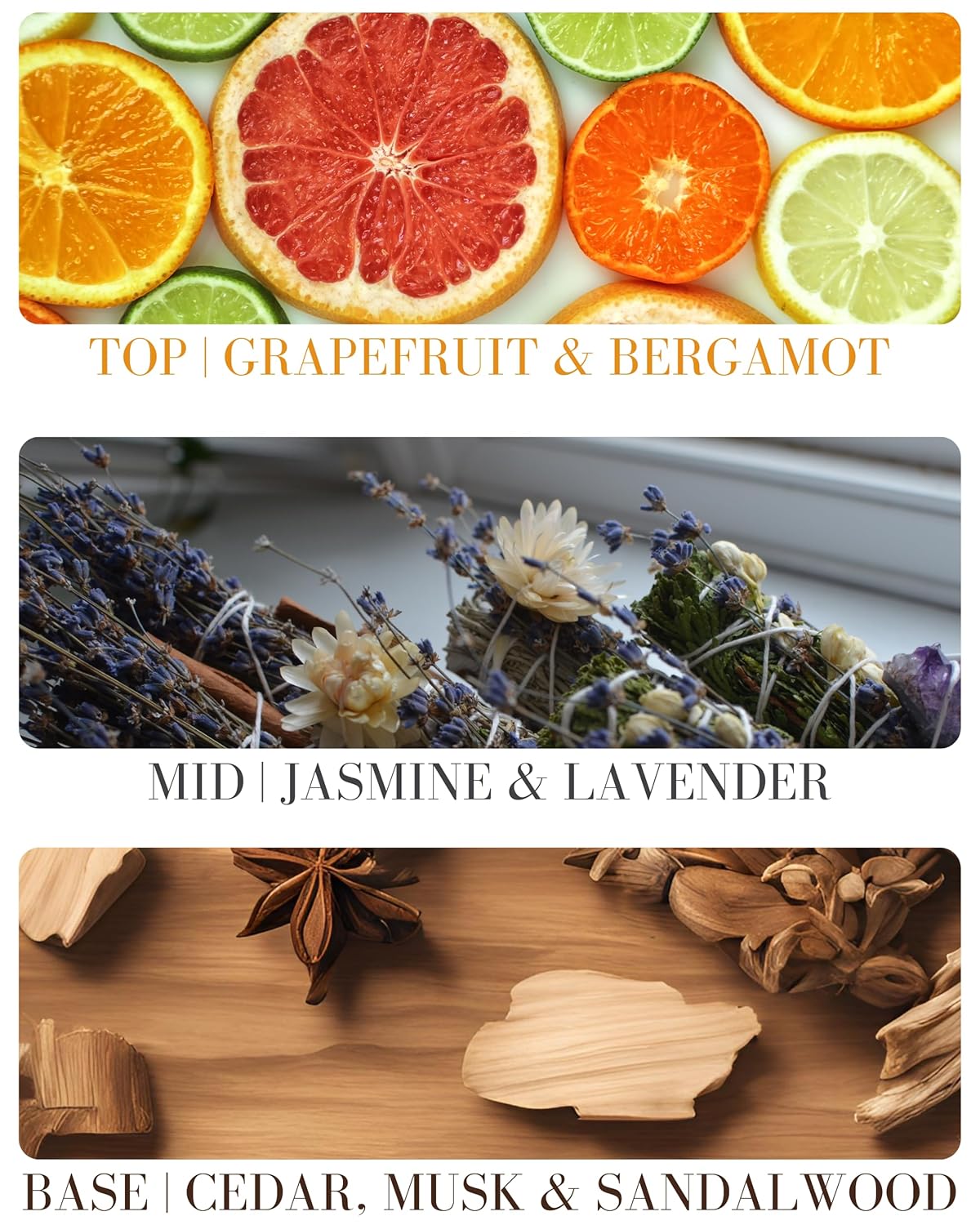 Bleu for Men Perfume Roll On with Essential and Fragrance Oils and Organic Jojoba Oil, Alcohol Free, Eau de Toilette, Made in California