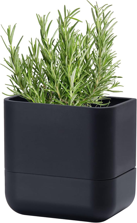 Phoenix Vine 6.5 Inch Wall Mounted Self-Watering Planter Pot by Phoenix+Vine