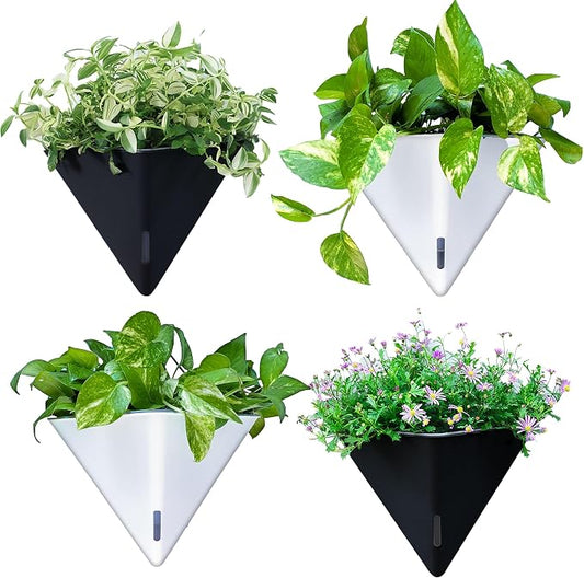 LaLaGreen Wall Planters for Indoor Plants by L%C3%A1L%C3%A1Green