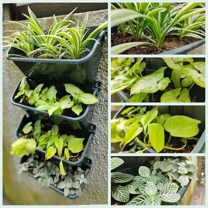 Maxona Vertical Garden Planter - Image 6