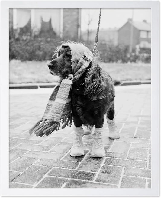Poster Master Dog Dressed for Winter Print by PosterMaster