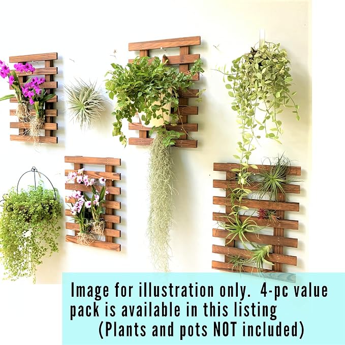ShopLaLa Wall Planter – Wooden Air Plant Succulent Holder Hanger Indoor Outdoor - Image 7