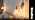 Plug in and Hardwired Wall Sconces, Luxury Vintage Tulip Crystal Glass Shade - Image 7