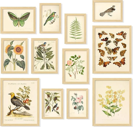 97 Decor Vintage Botanical Wall Art by 97Decor