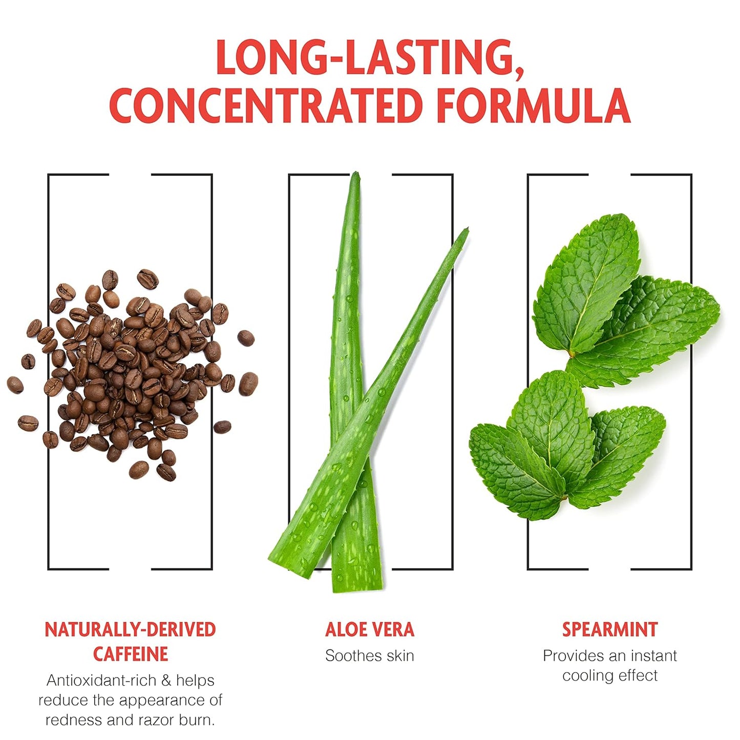 Pacific Shaving Company Caffeinated Shaving Cream - Shea Butter + Spearmint Antioxidant Shaving Cream with Caffeine - Clean Formula for a Hydrating + Irritation-Free Shave (7 Oz, 3 Pack)