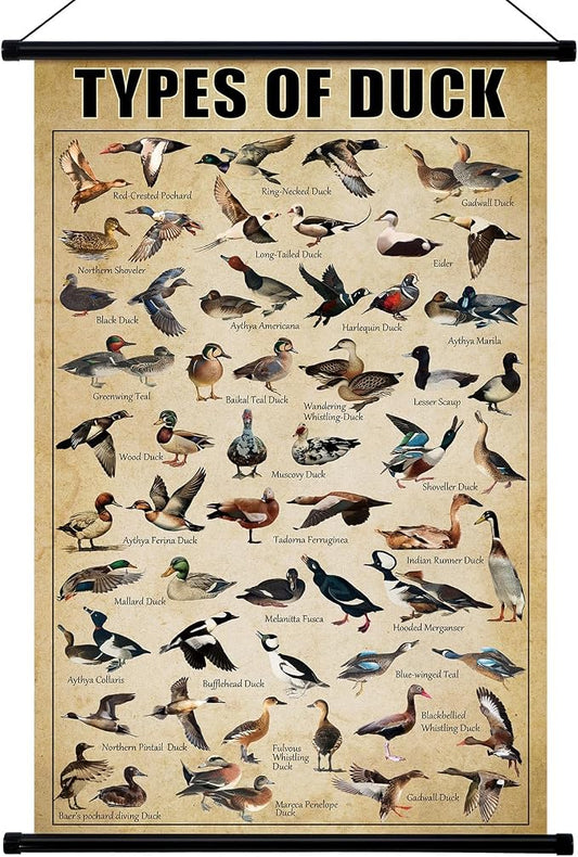 Geyee Duck Vintage Poster Wall decor Mallard Ducks Hunting Art Knowledge by Geyee