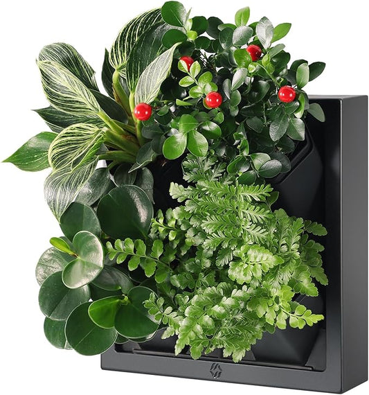 Wall-Mounted Vertical Garden Planter – Ready-to-Use Indoor Wall Planter by Unknown