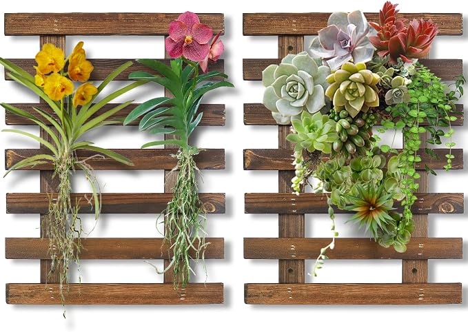 Mulctun 2 Pcs Wall Planters by Unknown