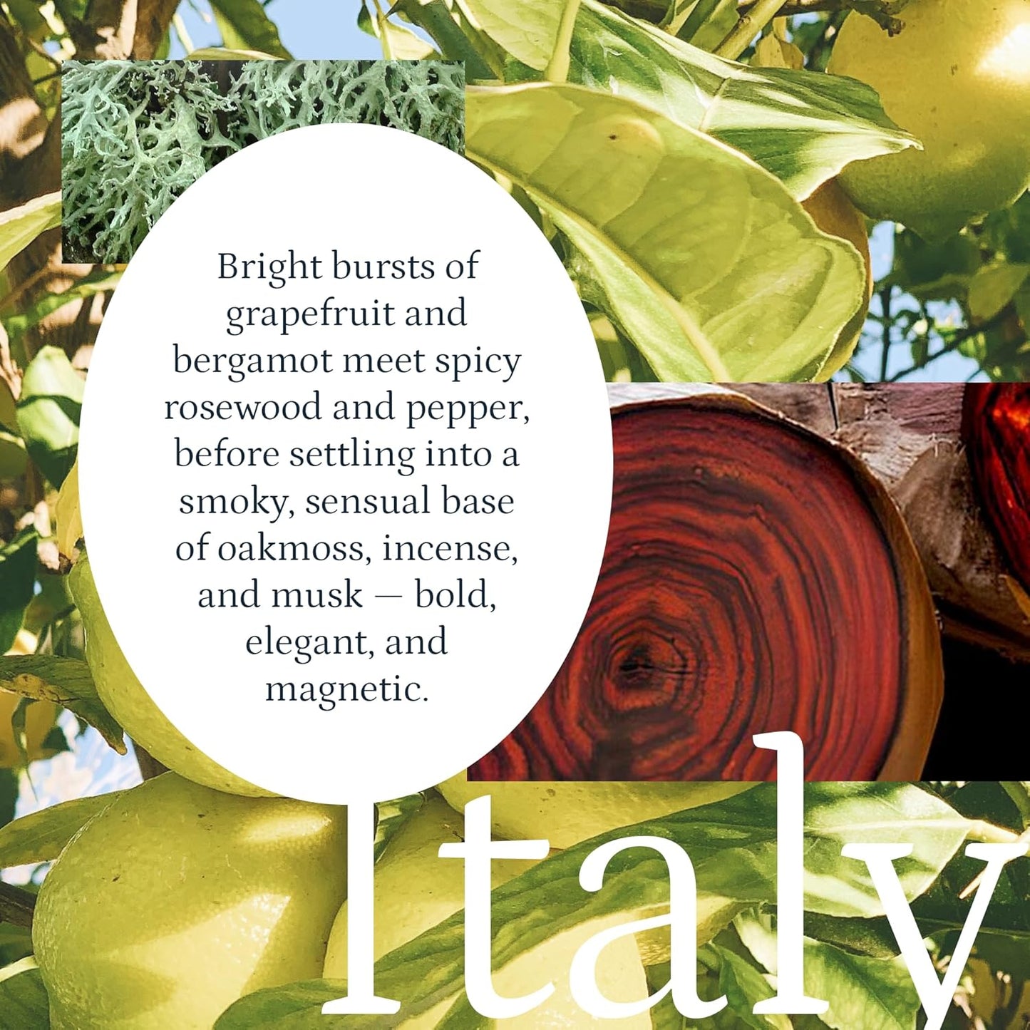 PuroSentido Italy Aroma Oil (10 ml) - Luxury Fragrance Oil for Diffusers and Humidifiers, Sicilian Lemon, White Rose & Musk Home, Hotel & Spa Scent