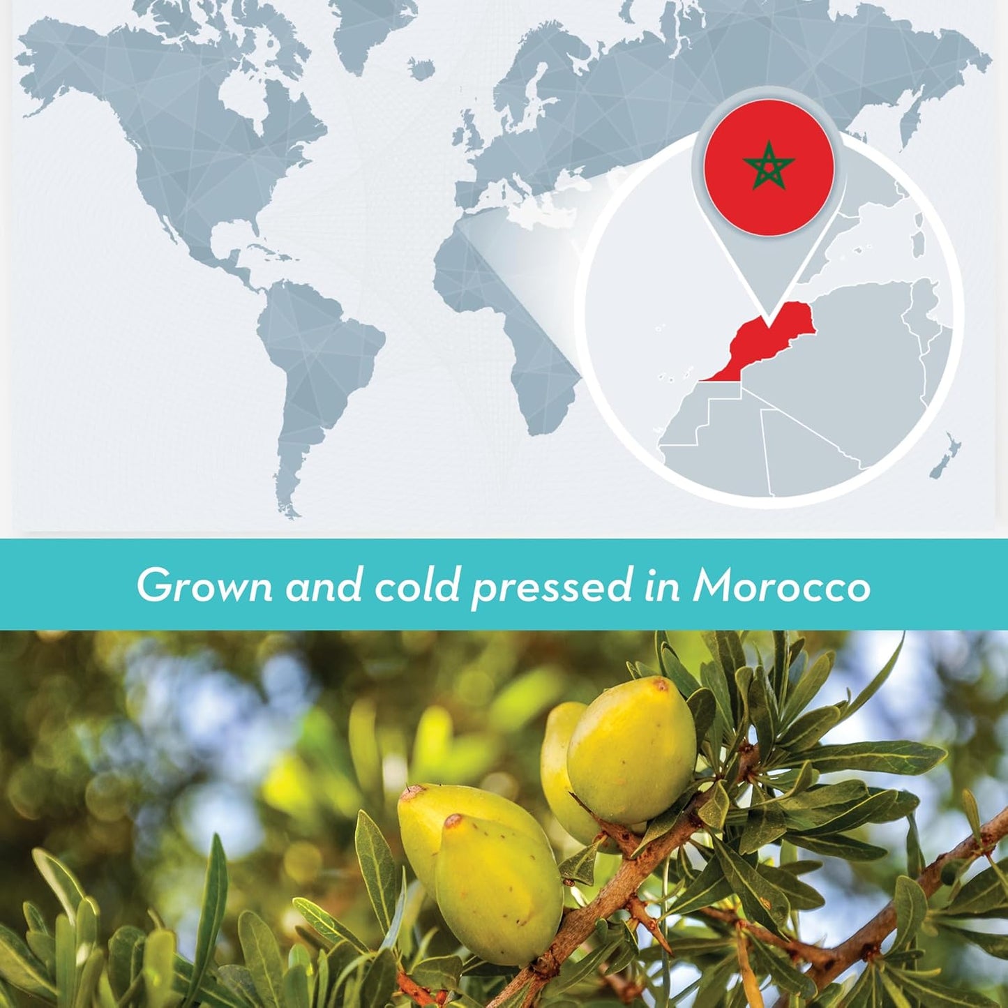 DIYBeauty Bulk Argan Oil - Large 2.5 Gallon Jerrican - Natural, Cold Pressed, 100 Percent Pure Argan Oil for Homemade Hair, Face and Skin Products - Light Aceite de Argan Carrier Oil