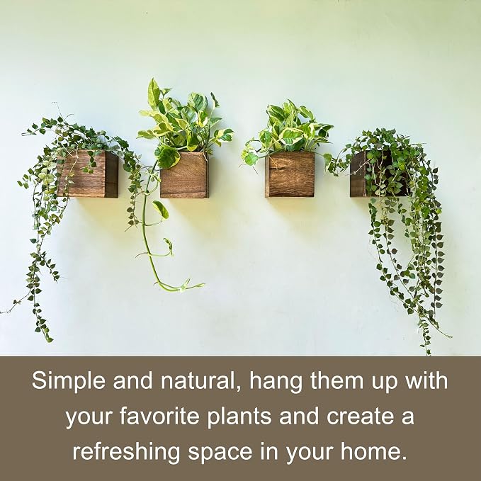 LaLaGreen Wood Planter Boxes for Plants Small Square Wall Mounted Planters for - Image 8