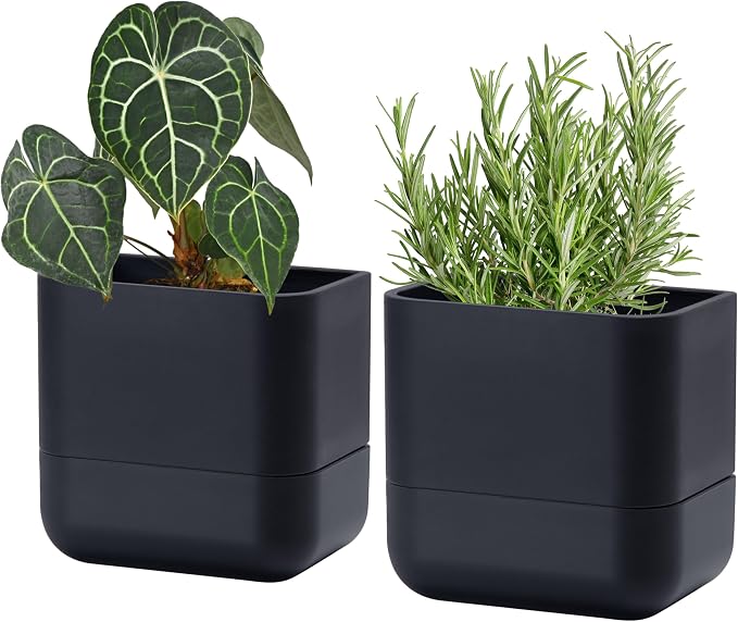 Phoenix Vine 6.5 Inch Wall Mounted Self-Watering Planter Pot by Phoenix+Vine