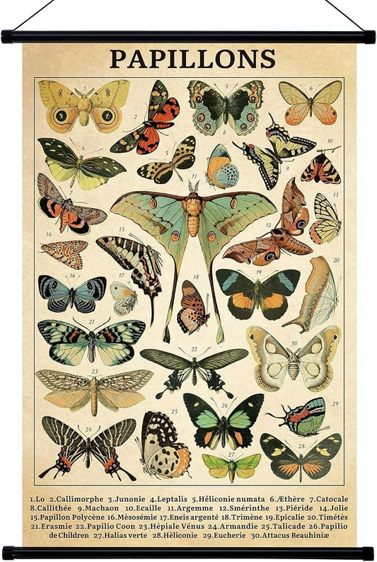 Geyee Butterfly Vintage Poster Wall decor Rustic Hanging Art Illustrative by Geyee