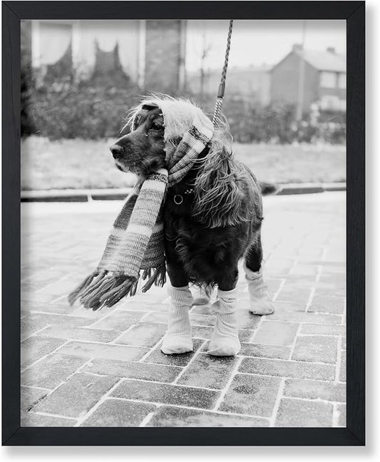 Poster Master Vintage Dog Dressed by PosterMaster