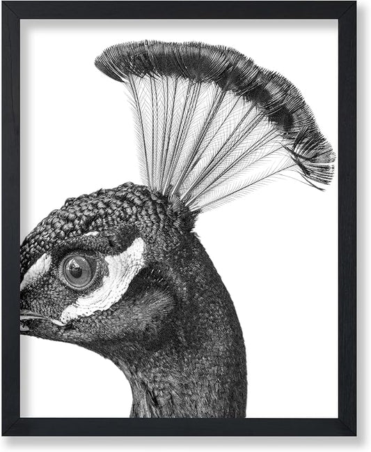Poster Master Vintage Peacock Poster by PosterMaster