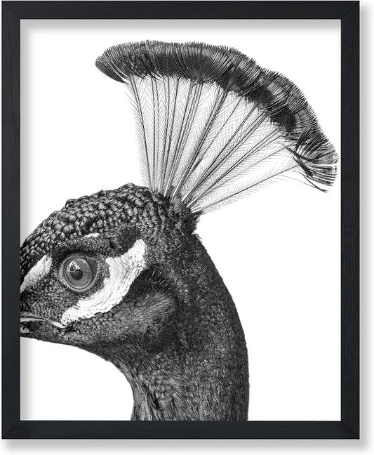 Poster Master Vintage Peacock Poster by PosterMaster