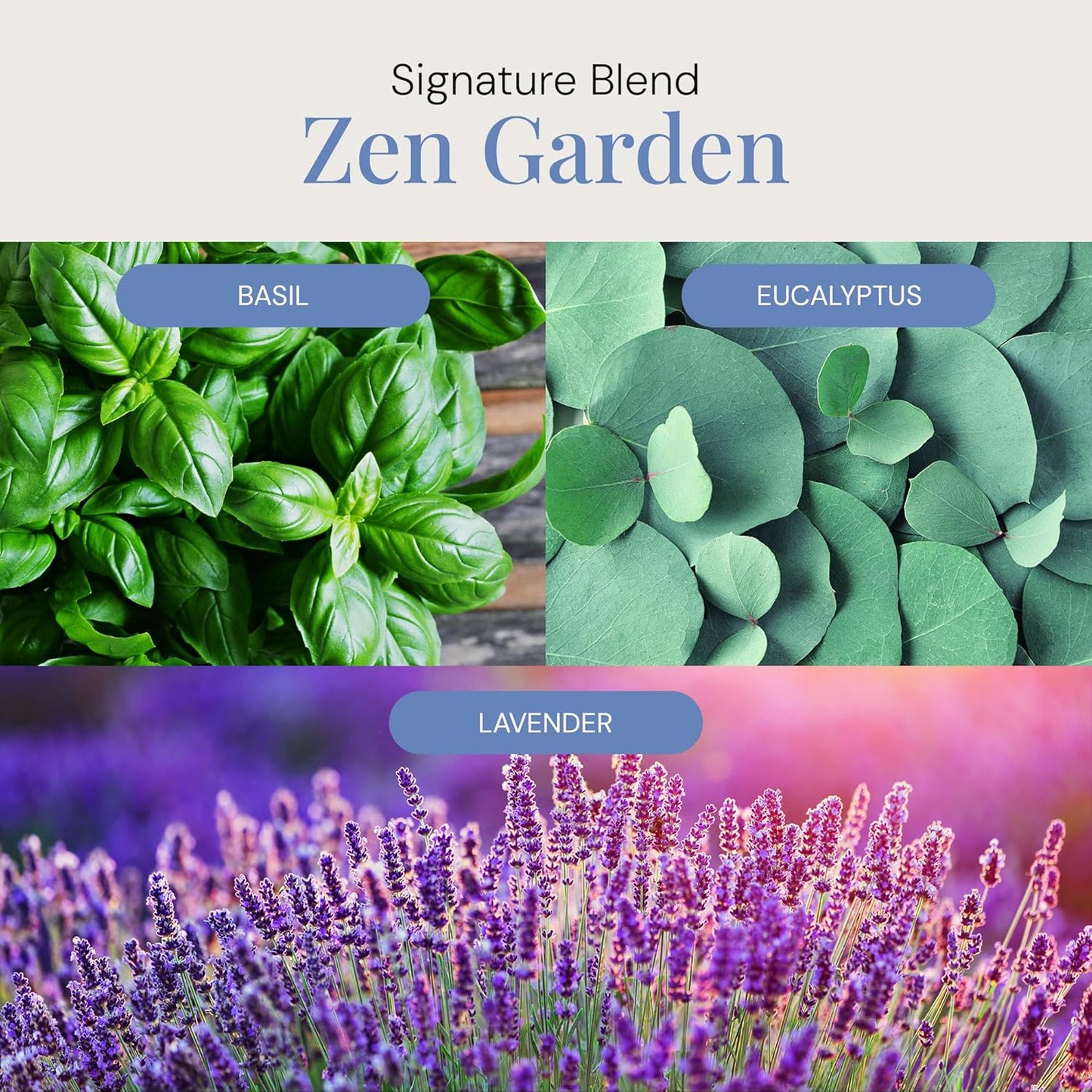 Zen Garden Aroma Oil, Essential Oils Blend for Diffusers & Scent Machines, Citrus, Delicate Florals, Warm Tea, Aromatherapy, Cold Air Diffuser Compatible, 300 mL