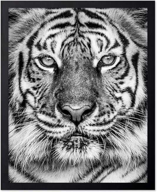 Poster Master Vintage Tiger Face Print by PosterMaster